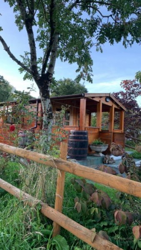 Songbird Lodge - Near brew pub/10 mins from Snowdon